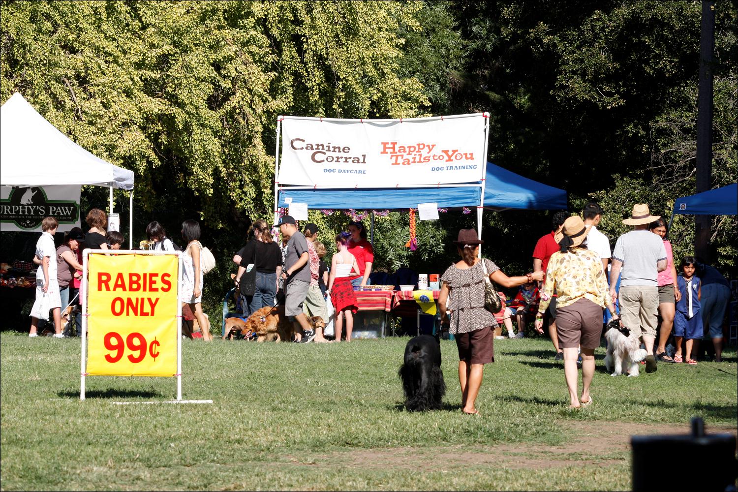 2009_bark_in_the_park_040.jpg