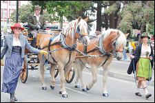 2009_sf_ih_051