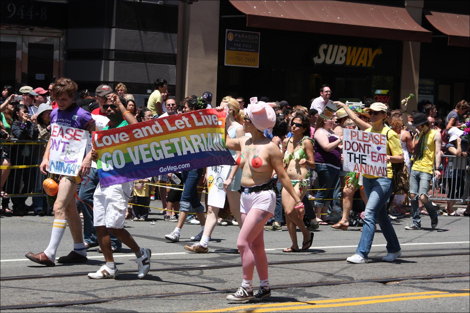 2009_sf_pride_160.jpg