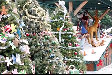 2009_san_jose_holiday_052