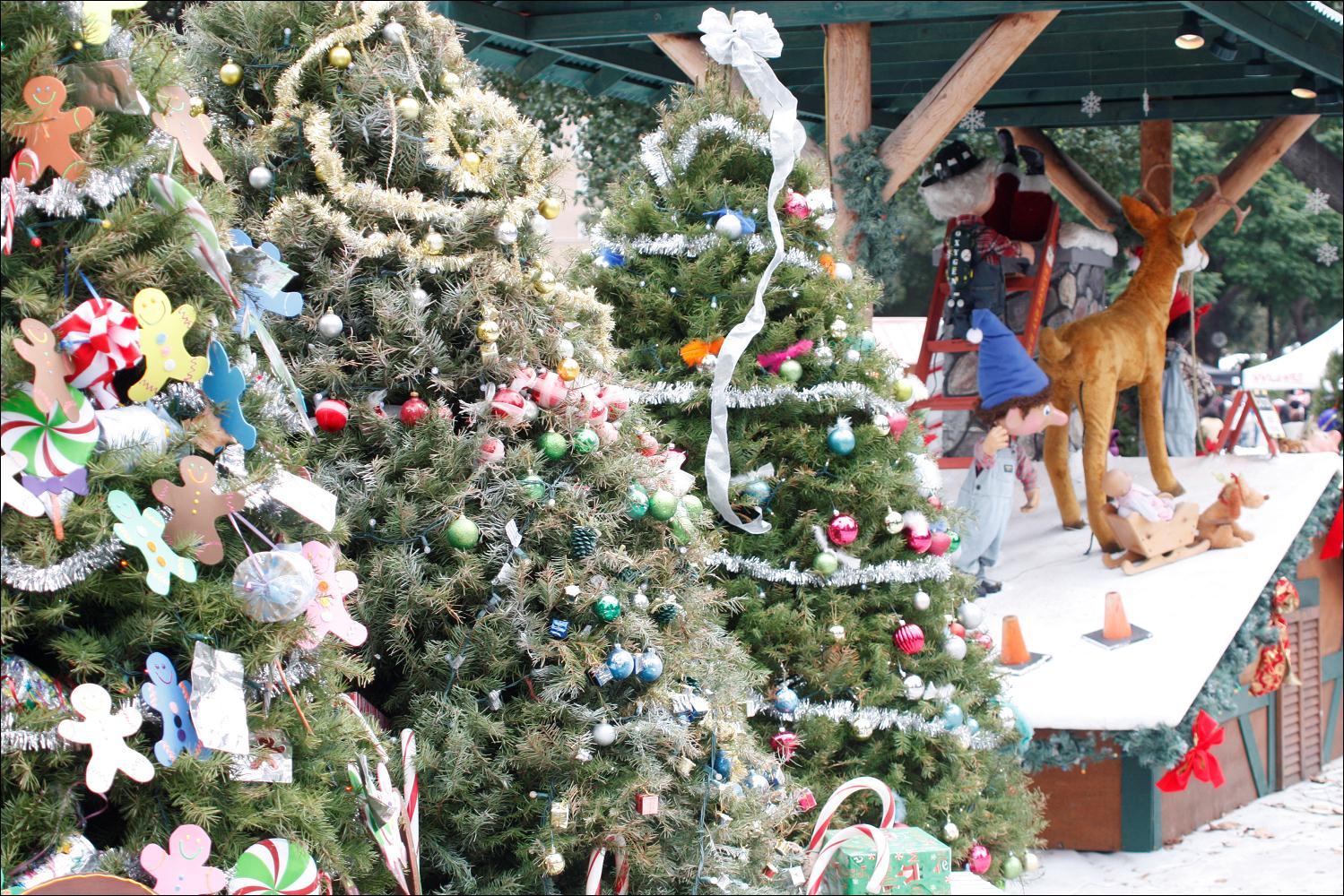 2009_san_jose_holiday_052.jpg