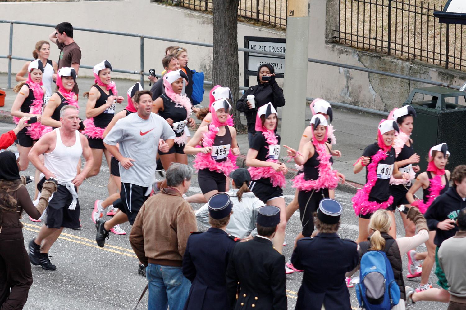 2010_san_francisco_bay_to_breakers_005.jpg