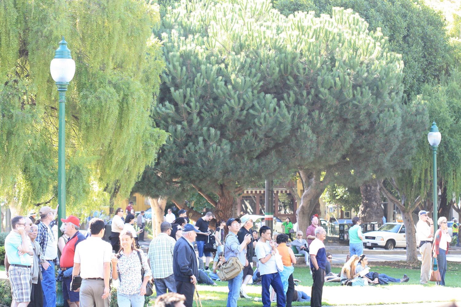 2010_san_francisco_italian_heritage_084.jpg