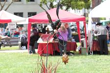 2011_pagan_002