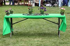 2011_pagan_005